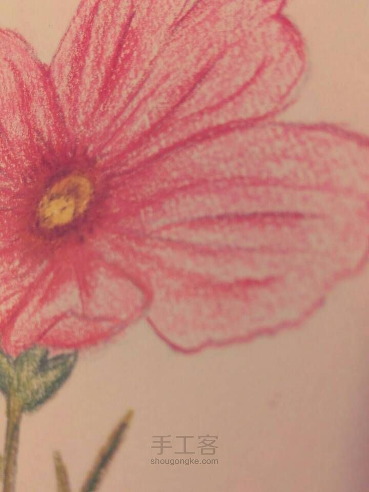 随意画一朵格桑花🌷 第12步