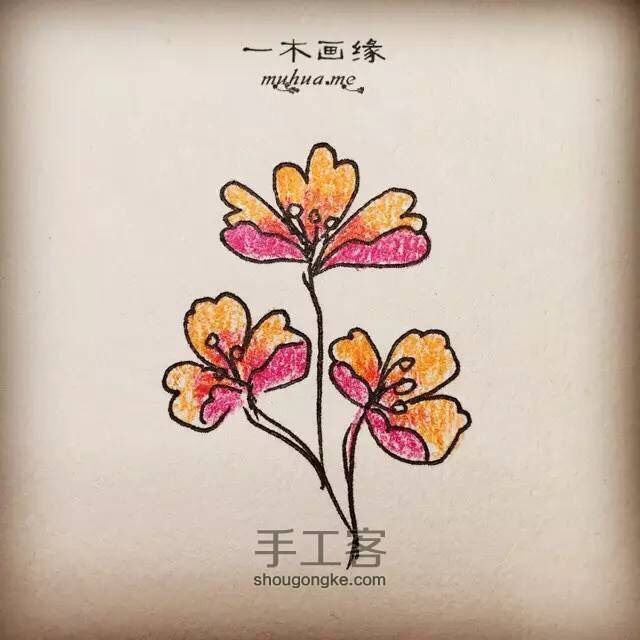 【一木画缘】花卉小课堂之三瓣蝴蝶花（第7期） 第6步