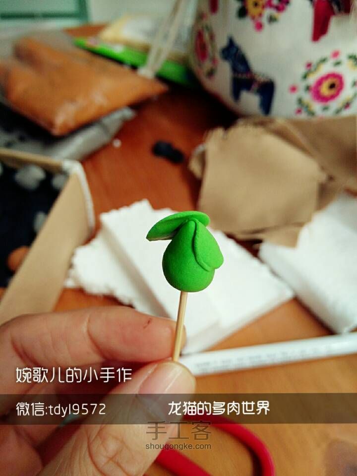 龙猫的多肉世界 第7步