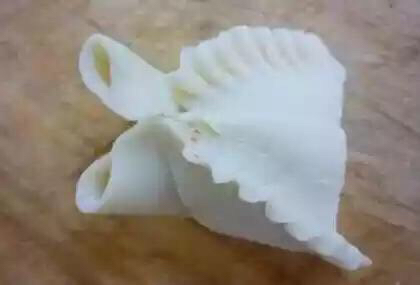 花式包饺子(转载) 第6步