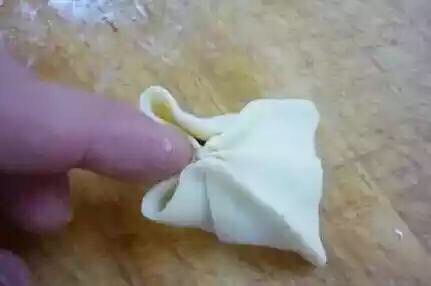 花式包饺子(转载) 第5步