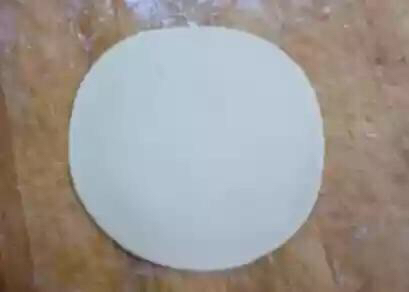 花式包饺子(转载) 第9步