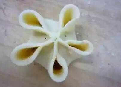 花式包饺子(转载) 第11步