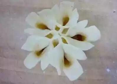 花式包饺子(转载) 第13步