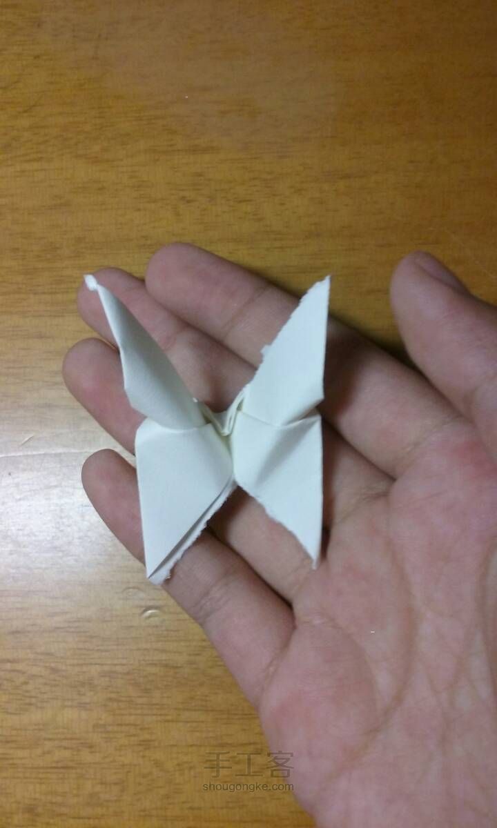 简易折纸蝴蝶 第7步