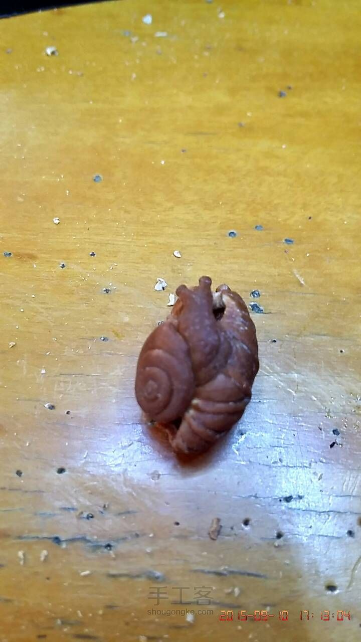 小蜗牛 第9步