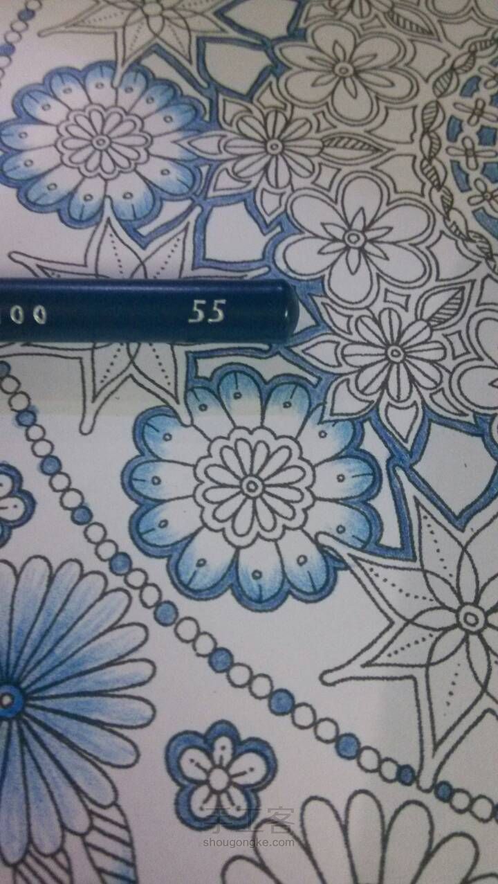 秘密花园青花瓷教程 第3步