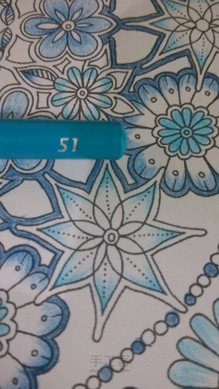 秘密花园青花瓷教程 第9步
