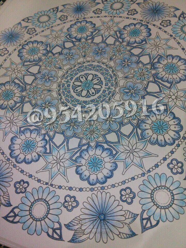 秘密花园青花瓷教程 第14步
