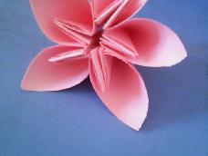 纸折五色樱花