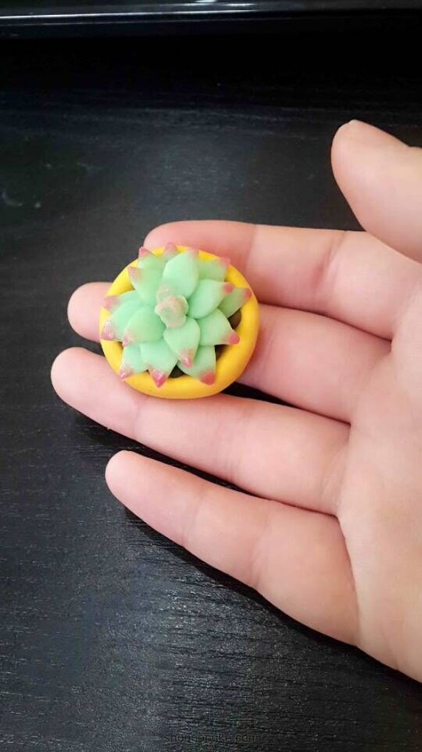 超级可爱小多肉~第一次做，颜色没调好