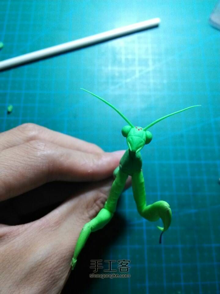 绿色螳螂 第8步
