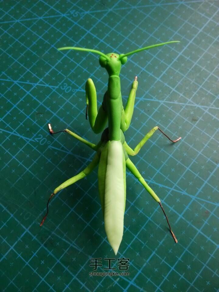 绿色螳螂 第15步