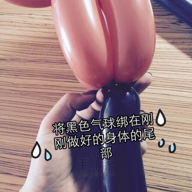 【猫头鹰】萌达气球 第24步