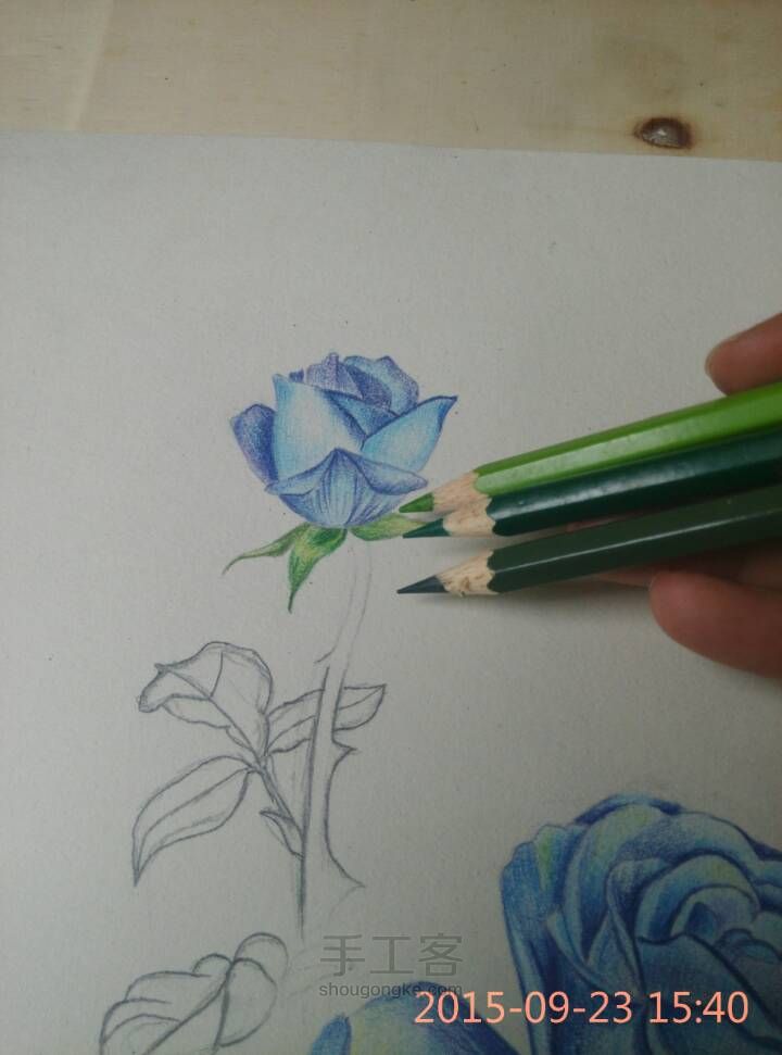 【彩铅手绘蓝玫瑰】 第5步