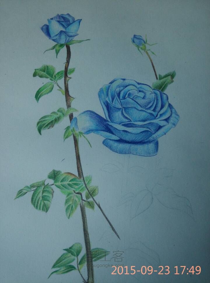 【彩铅手绘蓝玫瑰】 第10步