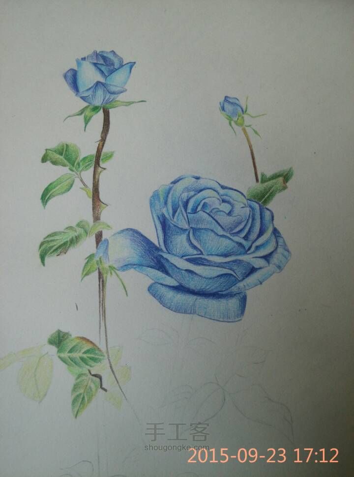 【彩铅手绘蓝玫瑰】 第8步