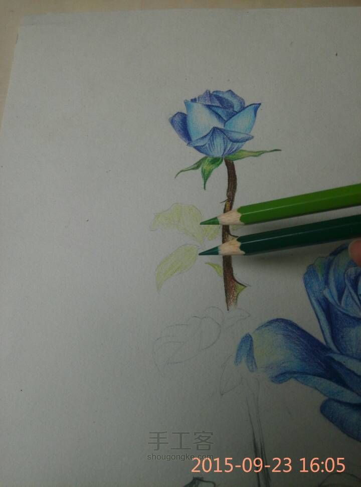 【彩铅手绘蓝玫瑰】 第6步