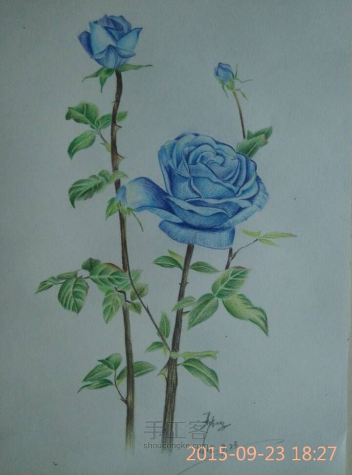 【彩铅手绘蓝玫瑰】 第11步