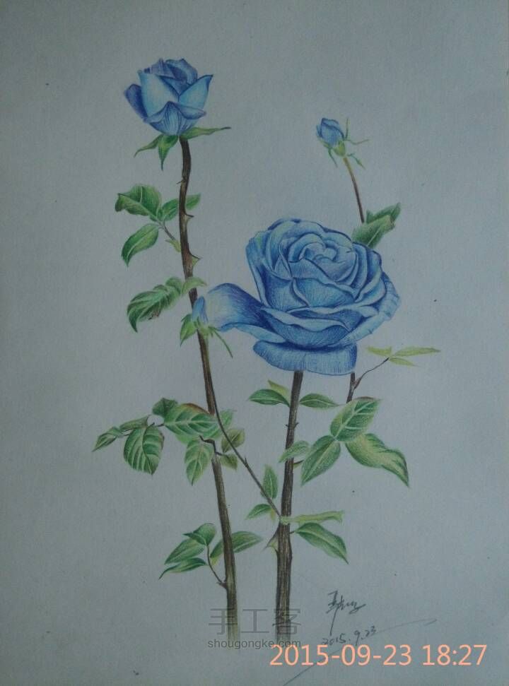 【彩铅手绘蓝玫瑰】 第12步