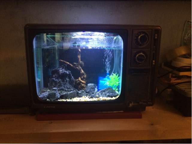 黑白电视机改复古电视机鱼缸 第15步