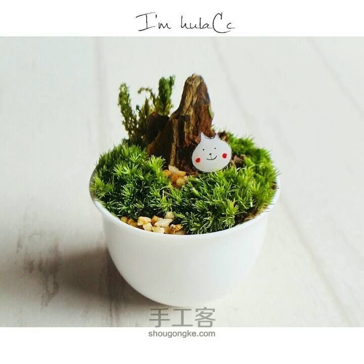 桌面盆栽DIY！！超级可爱的桌面苔藓小盆栽，绿色绿色好心情~ 第10步