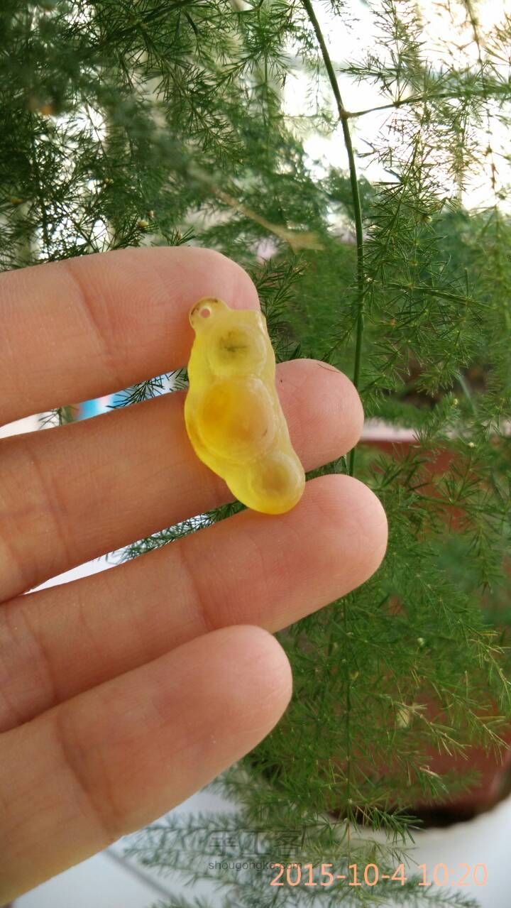 一个被虫虫啃食过的福豆豆 第8步