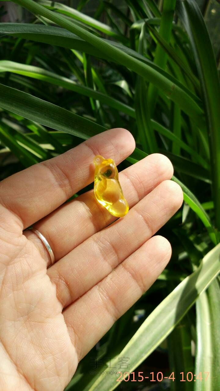 一个被虫虫啃食过的福豆豆 第11步