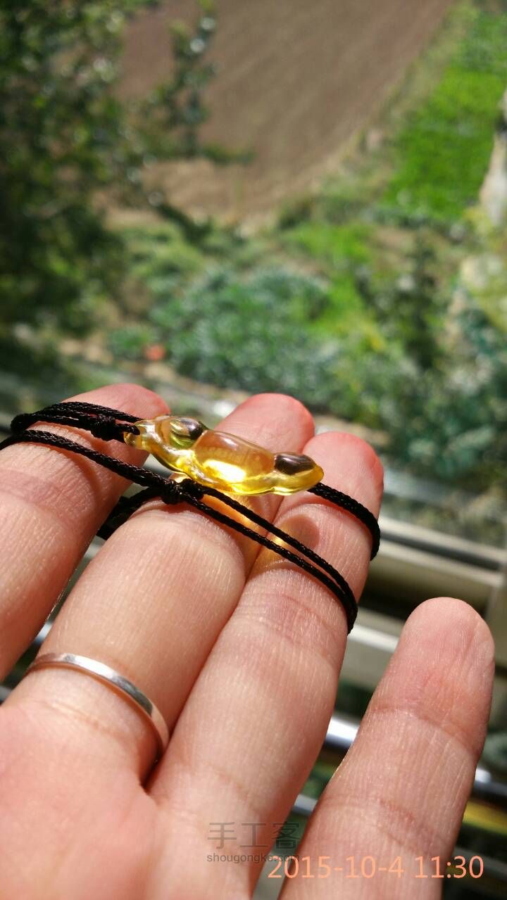 一个被虫虫啃食过的福豆豆 第14步