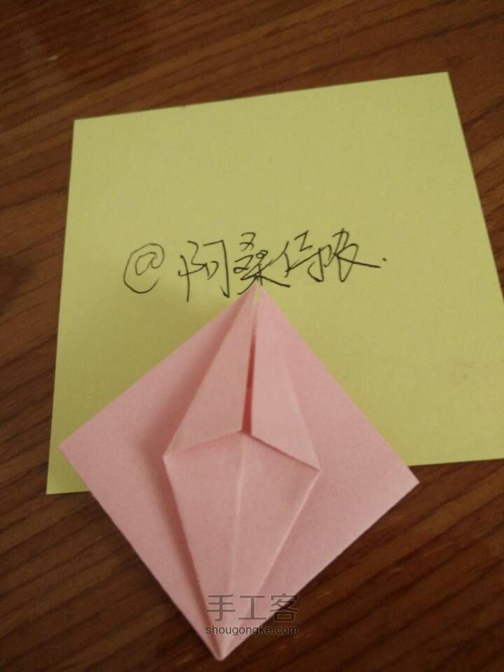折纸_菖蒲 第5步