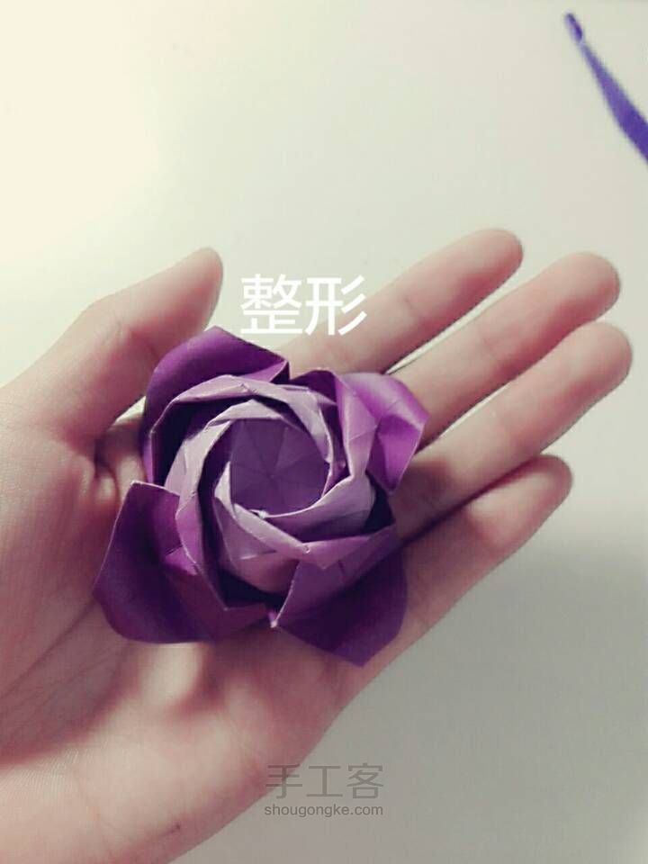 福山玫瑰🌹 第54步