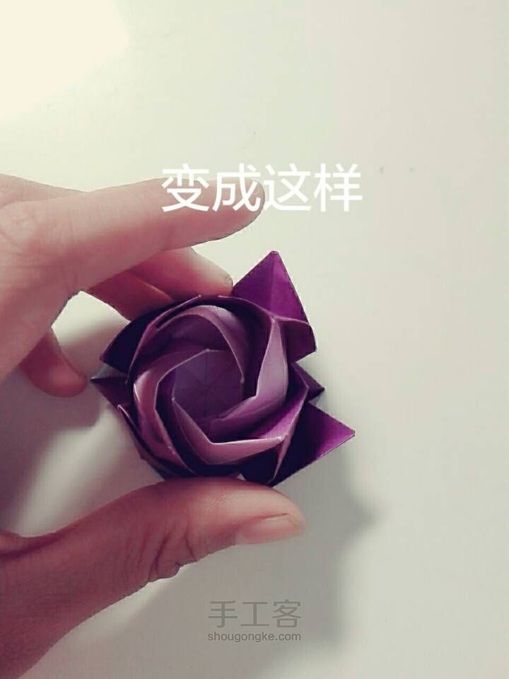 福山玫瑰🌹 第51步