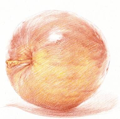 彩铅苹果手绘教程 第4步