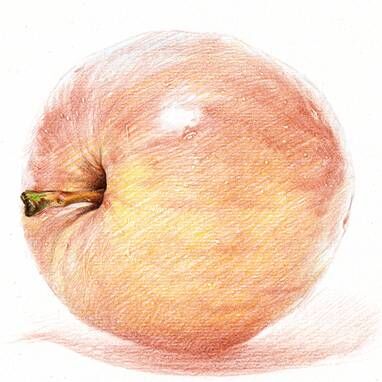 彩铅苹果手绘教程 第6步