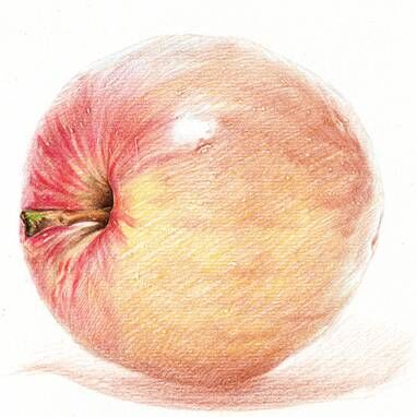彩铅苹果手绘教程 第7步