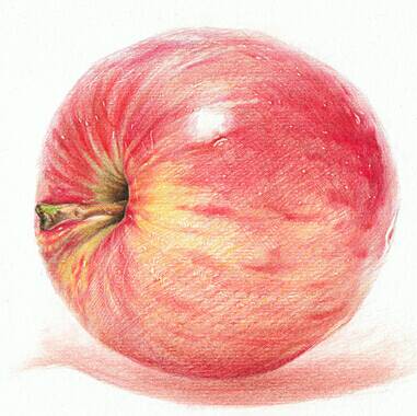 彩铅苹果手绘教程 第10步