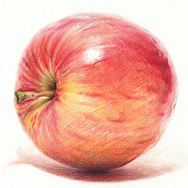 彩铅苹果手绘教程 第11步