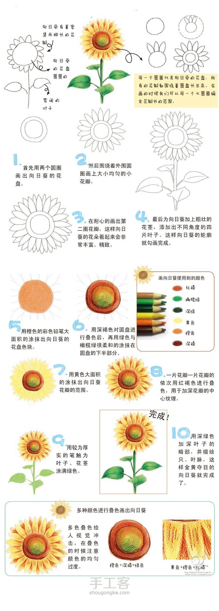 手绘向日葵🌻 第8步