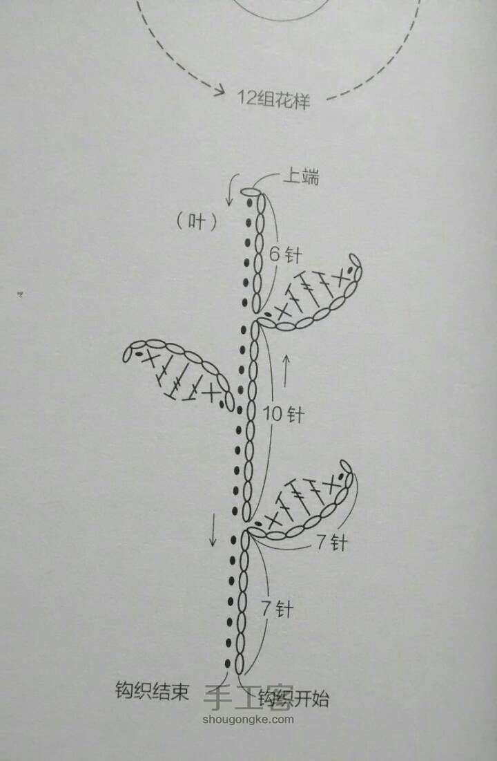 小花～～～娜家的 第3步