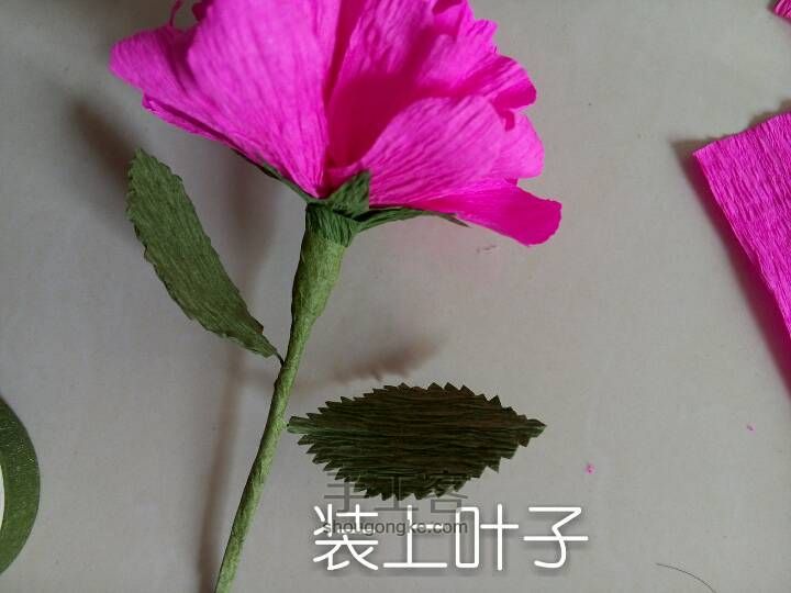 最简单的茶花 第13步