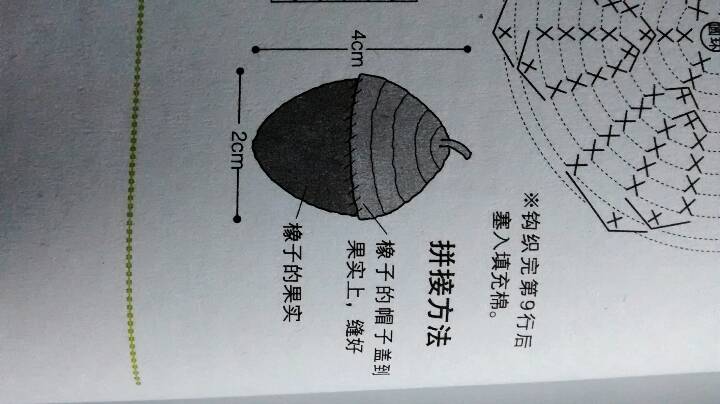 可爱的榛果～～～娜家的 第6步