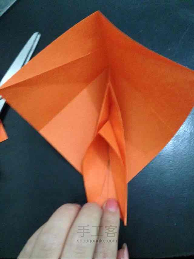 锦鲤鱼折纸 第18步