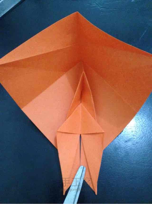 锦鲤鱼折纸 第19步
