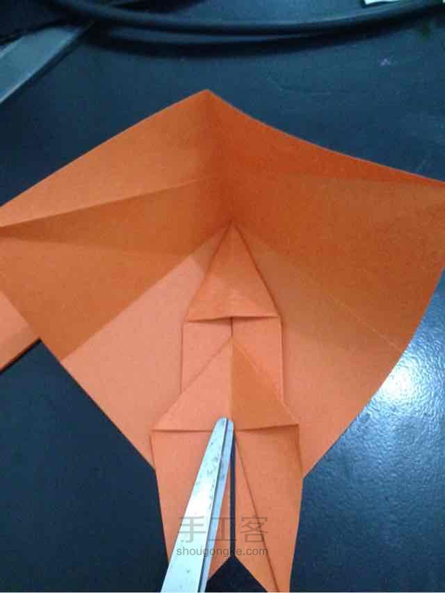 锦鲤鱼折纸 第20步