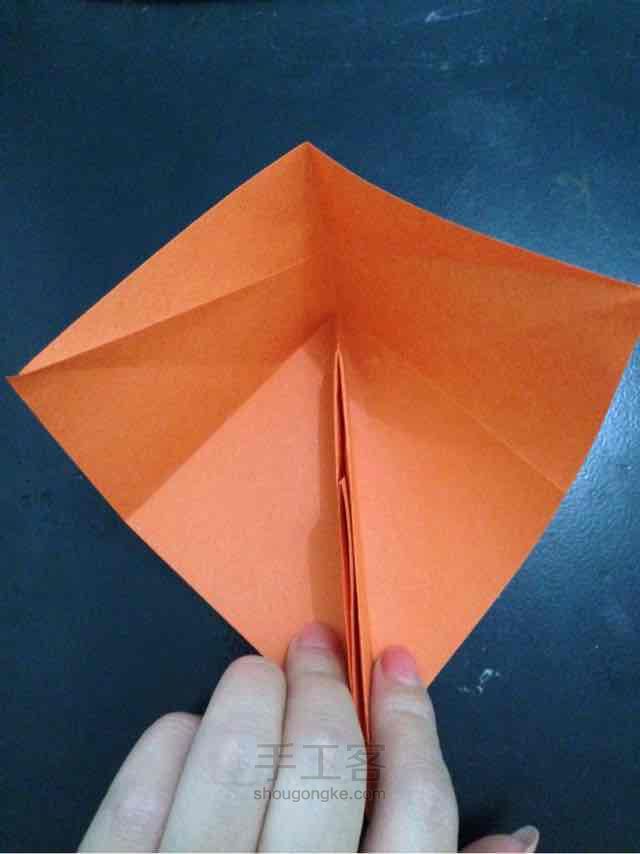 锦鲤鱼折纸 第17步
