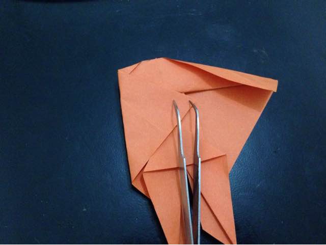 锦鲤鱼折纸 第25步
