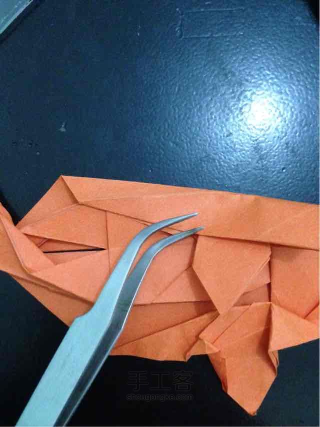 锦鲤鱼折纸 第45步