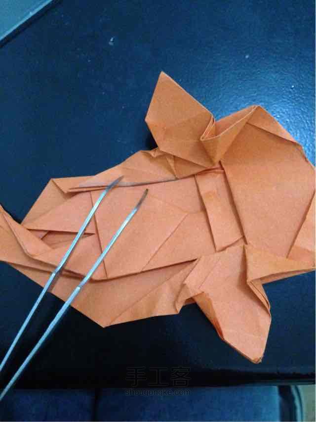 锦鲤鱼折纸 第46步