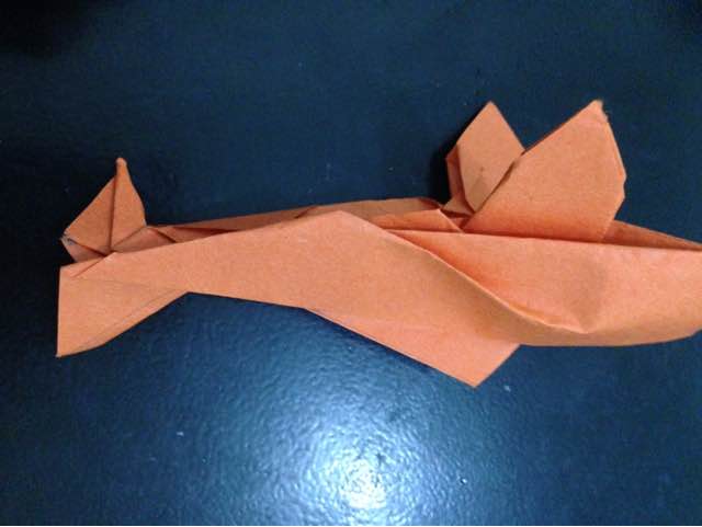 锦鲤鱼折纸 第49步