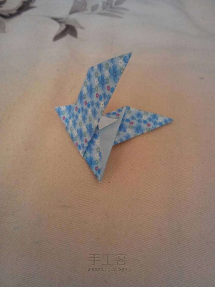 小鸟 第4步